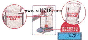 ���������M����ƽ,51g,0.001g