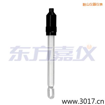 鞍山玻璃外殼無溫補兩線電導率電極