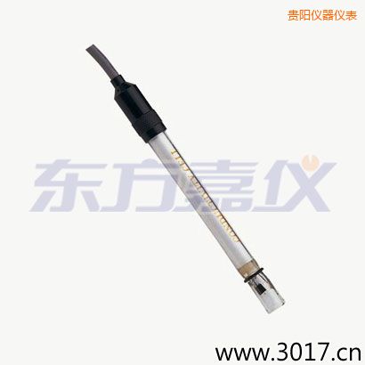 貴陽含有溫度的兩線電導(dǎo)率電極