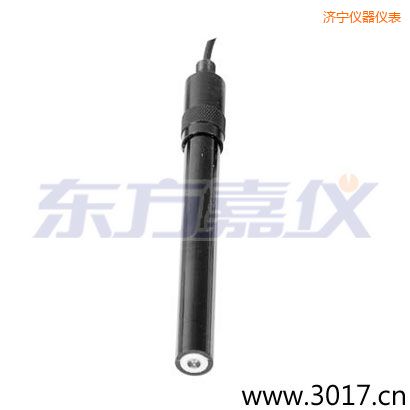 濟(jì)寧EPOXY外殼鉑金針平面ORP電極
