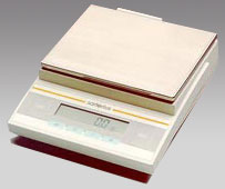 連云港電子天平,3100g,0.1g