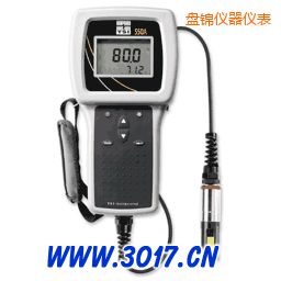 盤(pán)錦便攜式溶解氧測(cè)量?jī)x