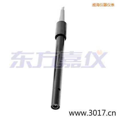威海含有溫度的兩線(xiàn)電導(dǎo)率電極