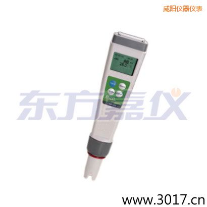 咸陽(yáng)迷你型筆式氧化還原測(cè)試儀