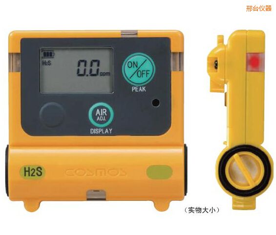 邢臺硫化氫計(jì)