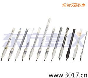 煙臺pH電極