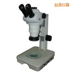 趙縣時代體視顯微鏡