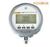 標準數(shù)字壓力計