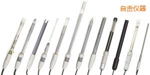 自貢電導(dǎo)電極